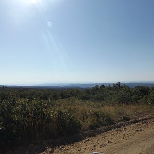 view