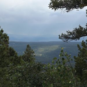 view