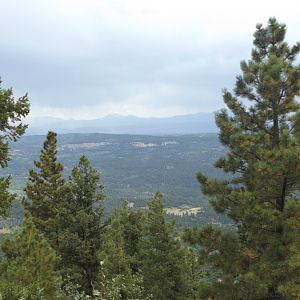 view