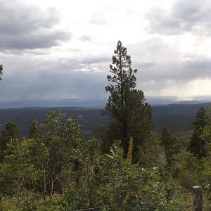 view