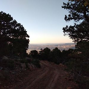 Morning view
