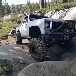 FDYC1