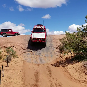 Mule Downhill