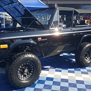 Sema 17