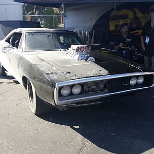 Sema 19