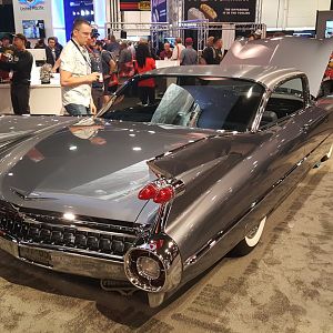 Sema 25