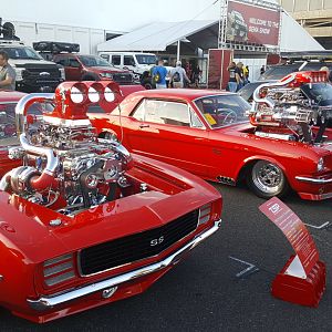 Sema 79