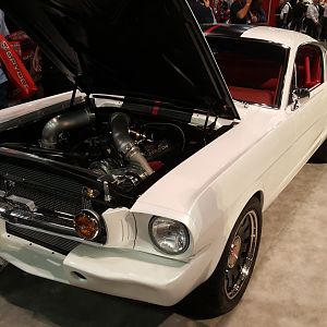 Sema 87