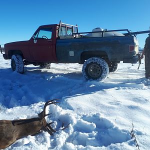 A nice whitetail buck my boy tagged on his way to get a tank of water for the cabin