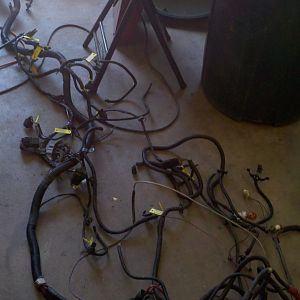Harness 1