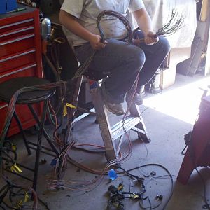 Harness 2