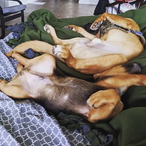 Relaxation Achieved