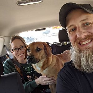 Freedom ride