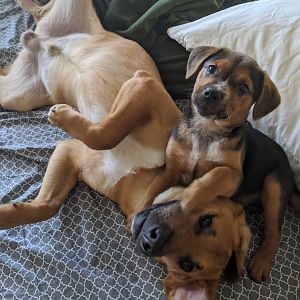 Playing and posing