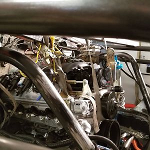 LS3-6