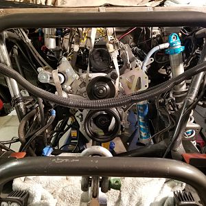 LS3-7