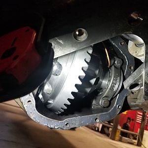 D60 shim walk
