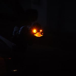 rrrrrrr