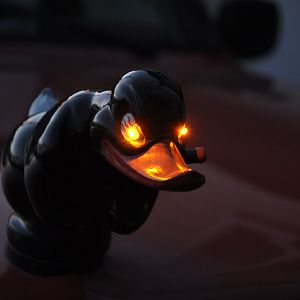 ssssss