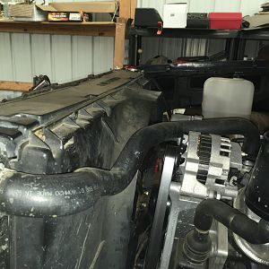 Radiator hose bracket