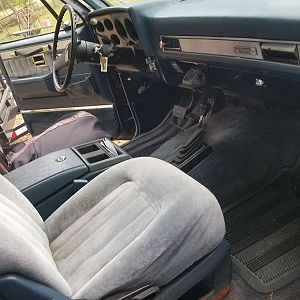 Passenger View