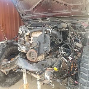 Cummins back in 1