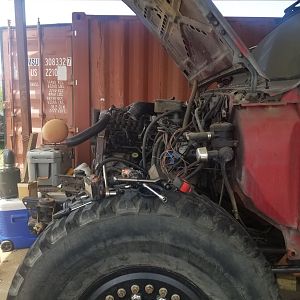 Cummins back in 2