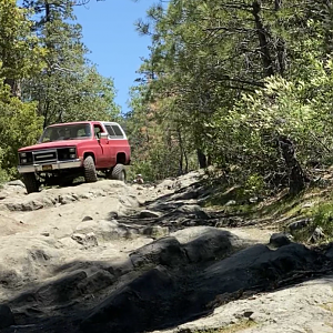 Sourgrass trail