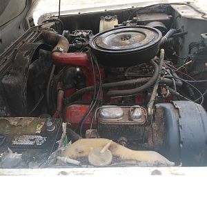 Eng