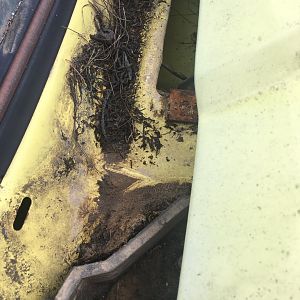 Dirty cowl