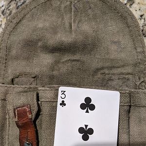 Czech and Polish 1c