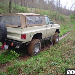 Rear_new_paint_Trout
