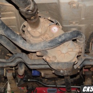 Custom Exhaust