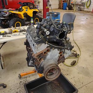 6.0