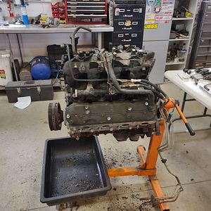 6.0