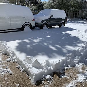 6" Snowfall