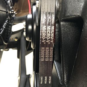 belt 1