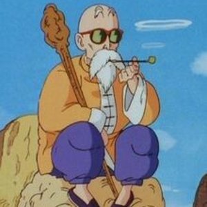 Master_Roshi_Anime.jpg