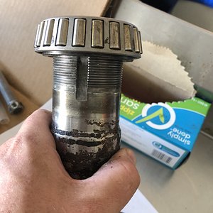 oblong spindle