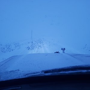 Storm