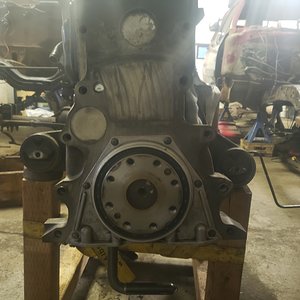 New Rear Main