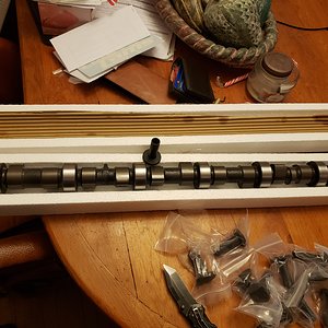 Shiny and New