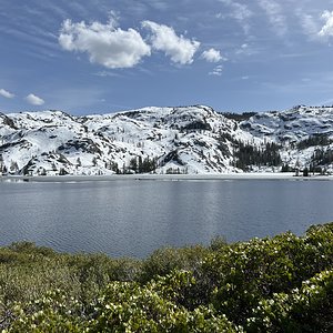 E61E8C69-F517-48C0-8D6B-8A4CC67C3271.jpeg