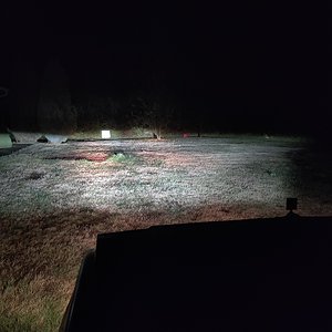 LEDs plus halogen high.jpg