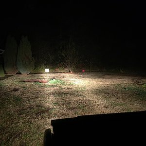 halogen both normal wire.jpg