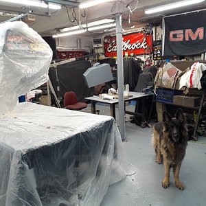 20230215_151851.jpg