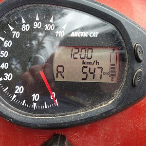 IMG_20230508_113513373.jpg