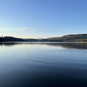 IMG_4479.JPG