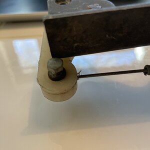 IMG_6600.jpeg