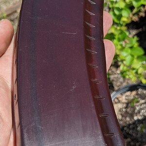 PXL_20240329_192452499.jpg